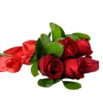 Rosas Vermelhas - Aglaé