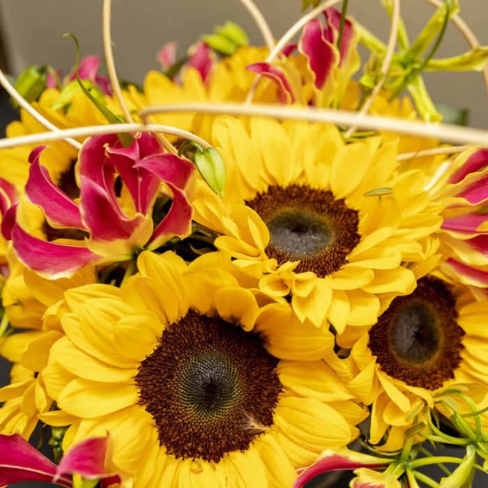 Kit de Presente Arranjo de Girassol e Gloriosa - Imagem 3