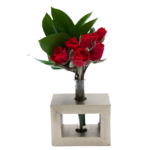 Flor floricultura francesa em são paulo