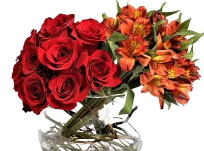 Diga me que flor voce gosta