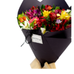 Flor floricultura francesa em são paulo