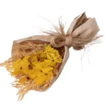 Bouquet de Flores Secas Carola