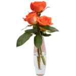 Arranjinho de Rosas Alaranjadas