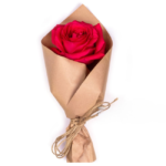 Uma Rosa Vermelha - Seule