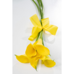 Opção de cores para o Vaso Solitario - Stéphanie