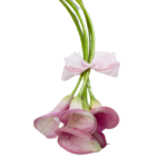 Flores e Chocolate - Lapine