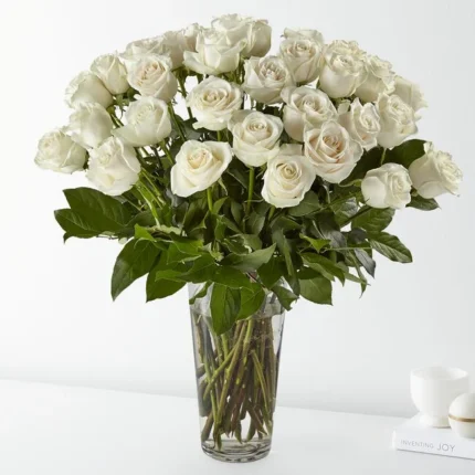 Rosas Brancas - Mavie