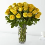 Mavie - Rosa Amarela