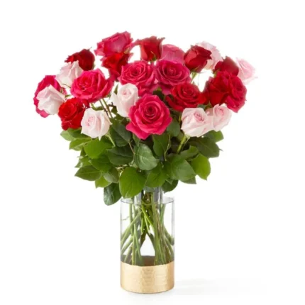 Rosa Colorida