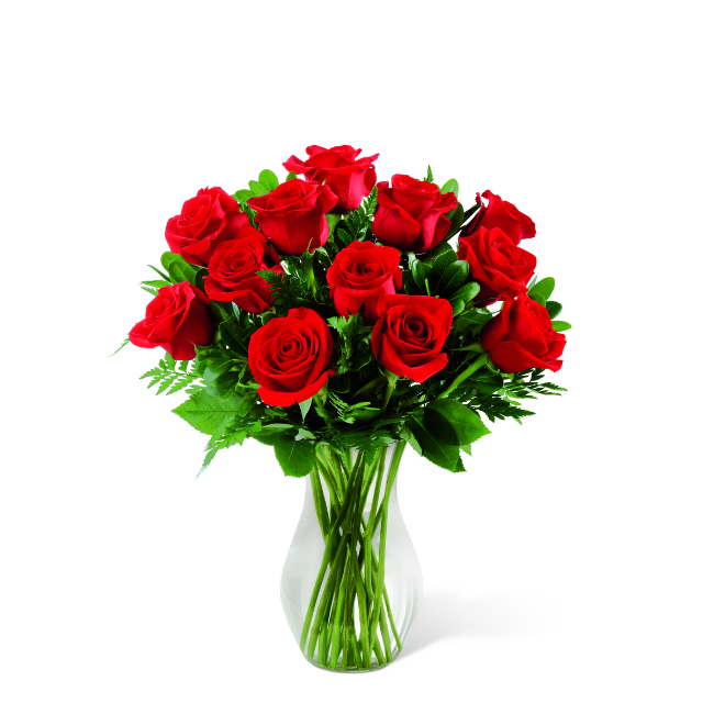 Arranjo de 12 rosas vermelhas colombianas frescas em vaso de vidro transparente com folhagens verdes