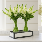 Boca de Leão Branca em Vaso - Léo