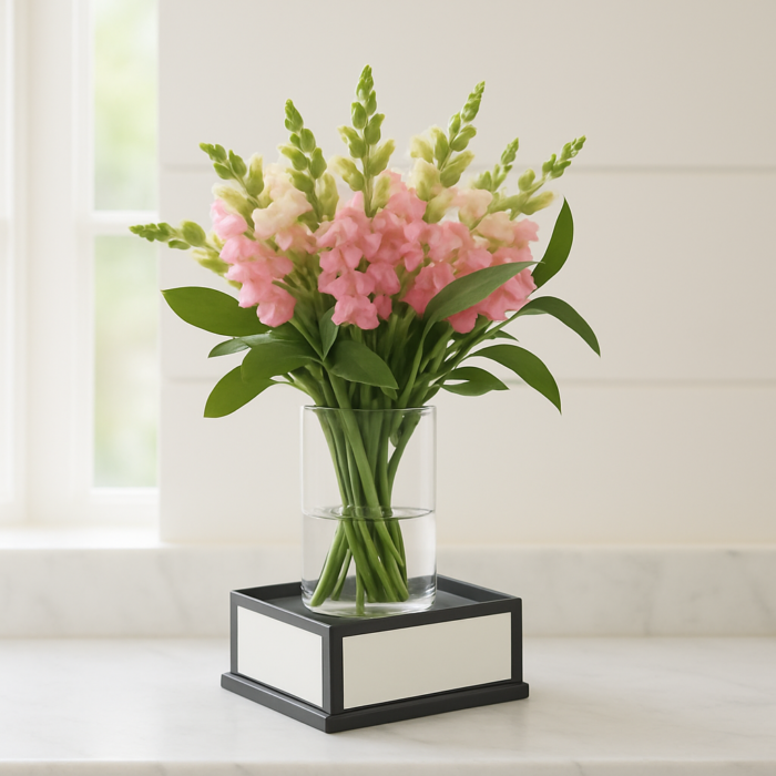 Arranjo de Boca-de-Leão Rosa