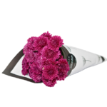 Flor do Campo Marsala - Kí : buquê premium de flores do campo marsala. Presente sofisticado com propósito. Entrega em Moema e São Paulo