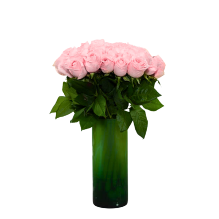 Rosas Cor-de-Rosa em Vaso - Maelle