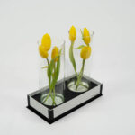 Tulipas no Vaso - Zaya
