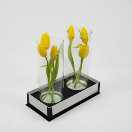 Tulipas no Vaso - Zaya