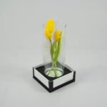 Tulipas em Vaso - Zaya