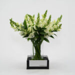 Arranjo de flores Brancas Leo Simples