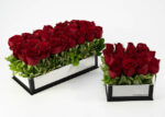 Rosas Vermelhas em Caixa - Eva