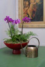 Bacia de Orquideas Pink Aurore