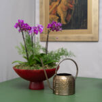 Bacia de Orquideas Pink Aurore