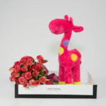 Rosa Spray Pink e Girafa de Pelúcia - Fofura