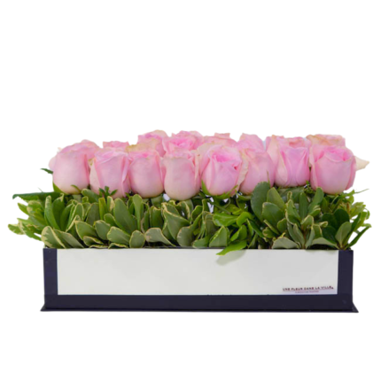 Arranjo de rosas cor-de-rosa em caixa retangular com folhagens verdes, presente de luxo para pessoas sofisticados em São Paulo.