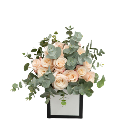 Arranjo de mini-rosas cor-de-rosa frescas em caixa branca cartonada rígida com bordas pretas. Ideal para presentear.