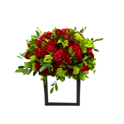 Arranjo de rosas vermelhas frescas em caica cartonada rígida branca com bordas preta. Ideal para presentear.