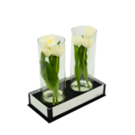 Tulipas Brancas em Vaso - Zaya