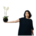 Orquidea Branca em Vaso - Mariamália