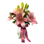 Lirios Cor de Rosa em Vaso - Lys