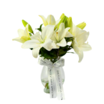 Lirios Brancos em Vaso - Lys