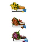 Kit Flor & Bolo de Laranja – Catherine