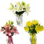 Lírios em Vaso - Lys