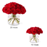 Rosas Vermelhas em Vaso - Kissi