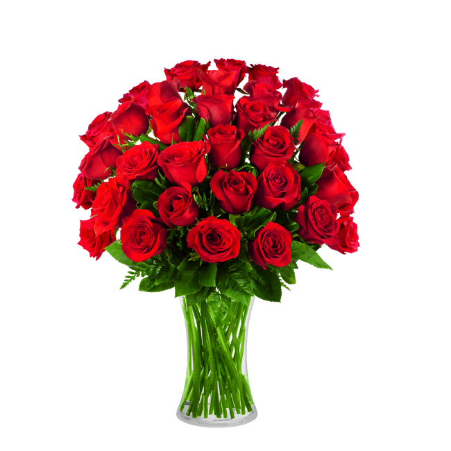 Arranjo de 24 rosas vermelhas colombianas frescas em vaso de vidro transparente com folhagens verdes