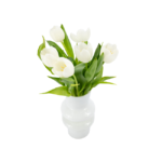 Tulipas Brancas em Vaso - Cupi