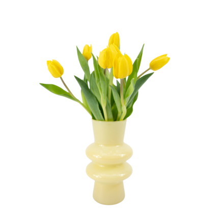 Tulipas Amarelas em Vaso - Cupi