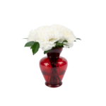 Cravos Brancos em Vaso - Chérie