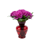 Cravos Fúcsia em Vaso - Chérie