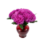 Cravos Fúcsia em Vaso - Chérie