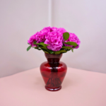 Cravos Fúcsia em Vaso - Chérie