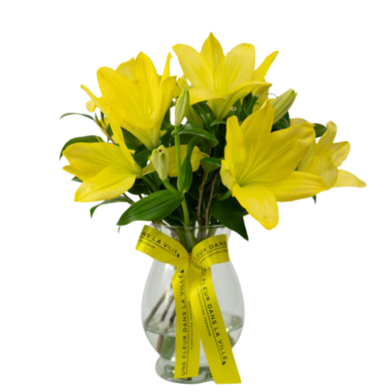 Lirio Amarelo em Vaso – Lys