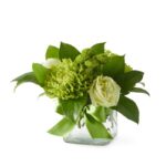 Arranjo de Flores Verdes - Luv