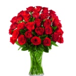 36 Rosas Vermelhas em Vaso - Bae