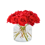 Rosas Vermelhas em Vaso - Kissi