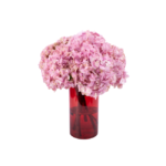 Hortênsias Rosa em Vaso - Chérie