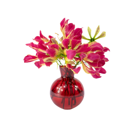Arranjo de gloriosas rosas vibrantes em vaso vermelho redondo e moderno.