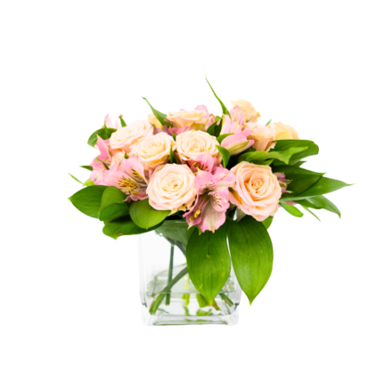 Arranjo sofisticado de flores cor-de-rosa em vaso cubo de vidro ideal como presente elegante.